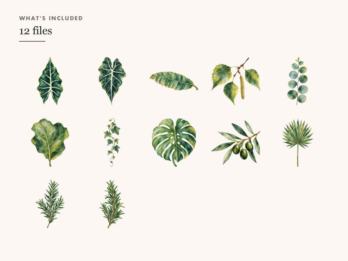 Botanical Greenery Leaf Clipart, Transparent PNG — whats included