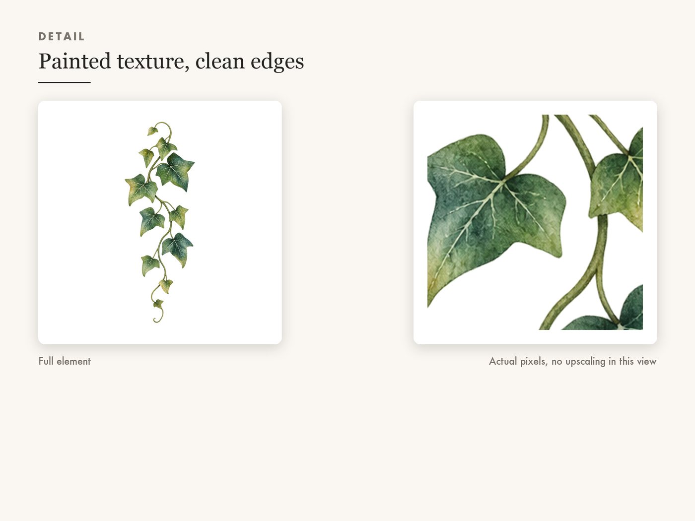 Botanical Greenery Leaf Clipart, Transparent PNG — detail zoom