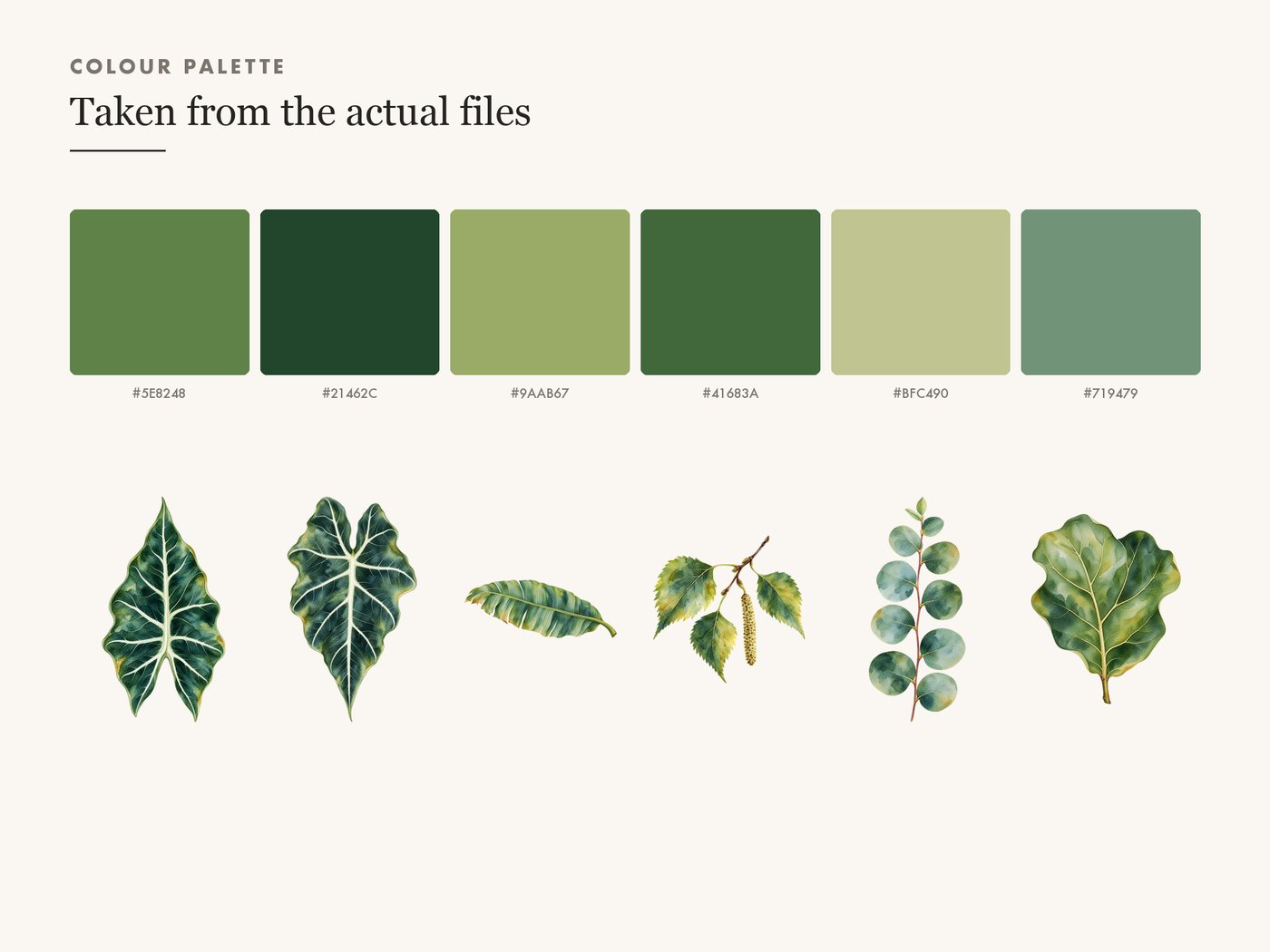 Botanical Greenery Leaf Clipart, Transparent PNG — colour palette