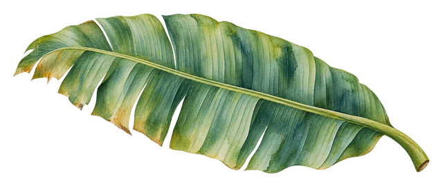 03_banana-leaf