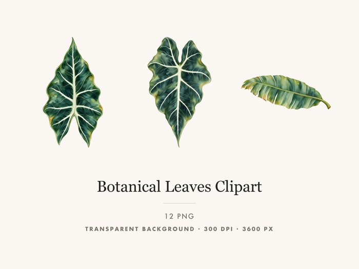 Botanical Greenery Leaf Clipart, Transparent PNG