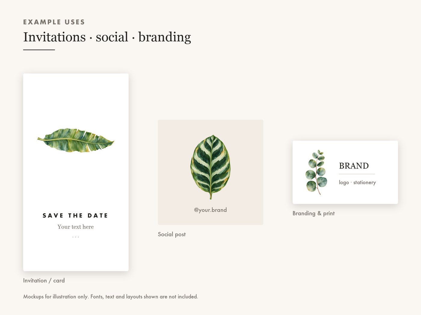 Green Leaf Clipart PNG, Monstera Eucalyptus Olive Fern — use cases