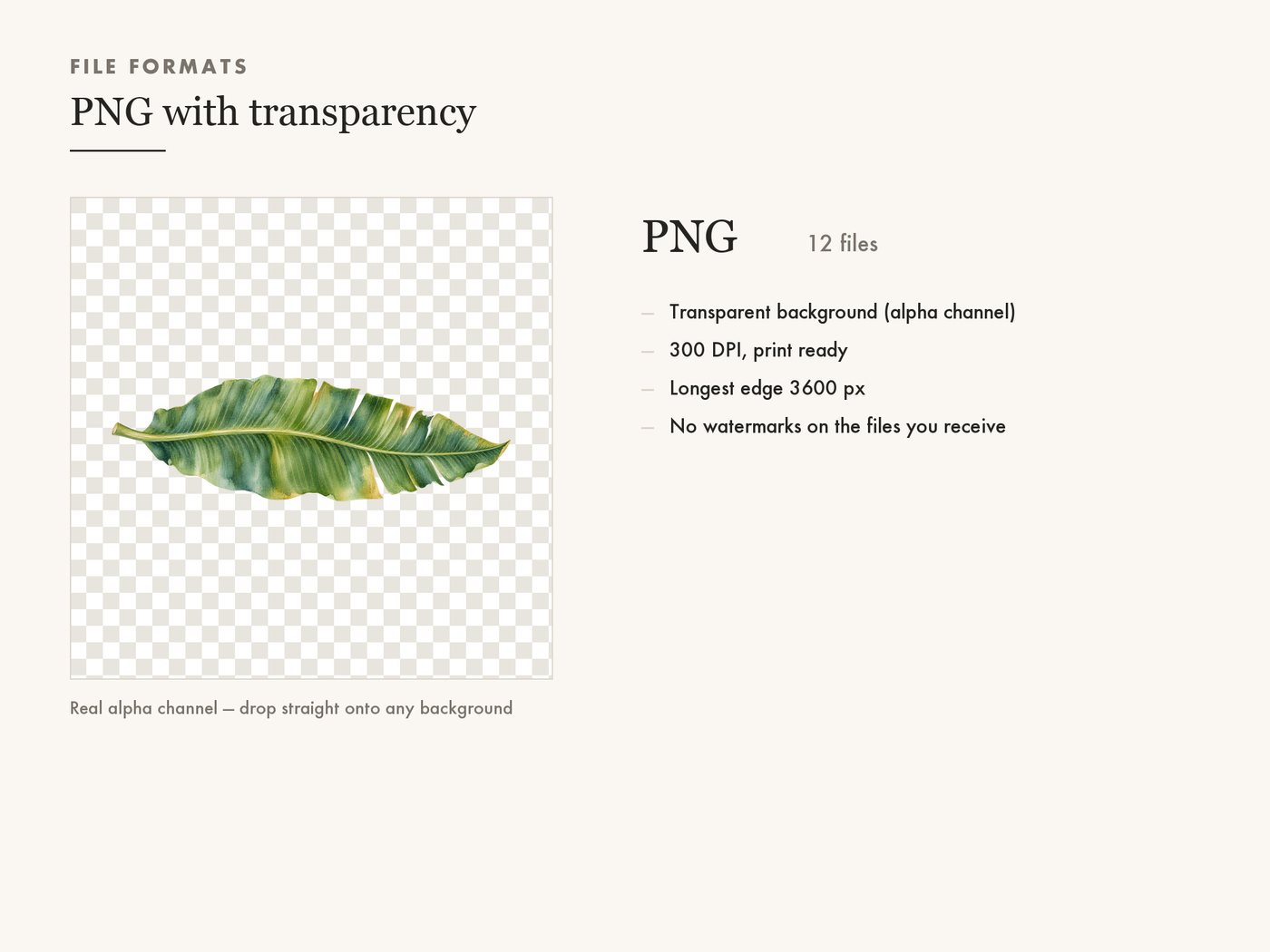 Green Leaf Clipart PNG, Monstera Eucalyptus Olive Fern — file formats