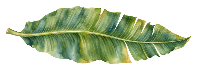 01_banana-leaf