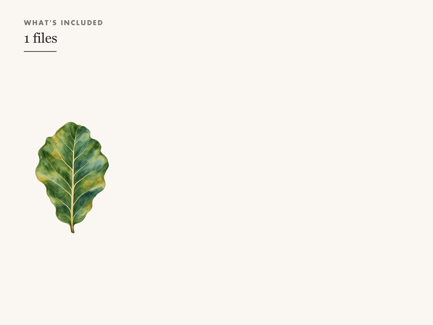Fiddle Leaf Fig Clipart PNG Transparent Houseplant Art — whats included
