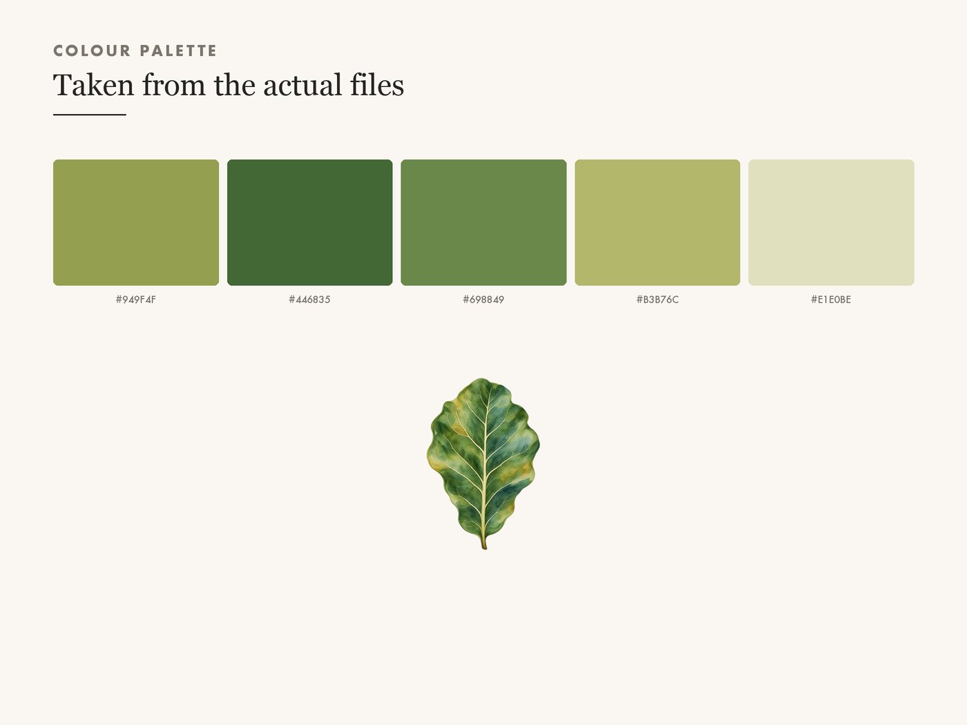 Fiddle Leaf Fig Clipart PNG Transparent Houseplant Art — colour palette