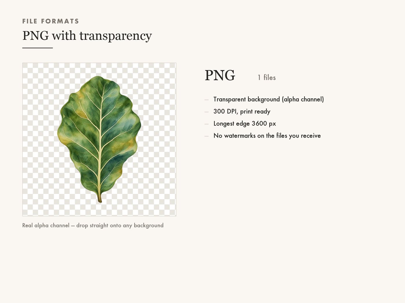 Fiddle Leaf Fig Clipart PNG Transparent Houseplant Art — file formats
