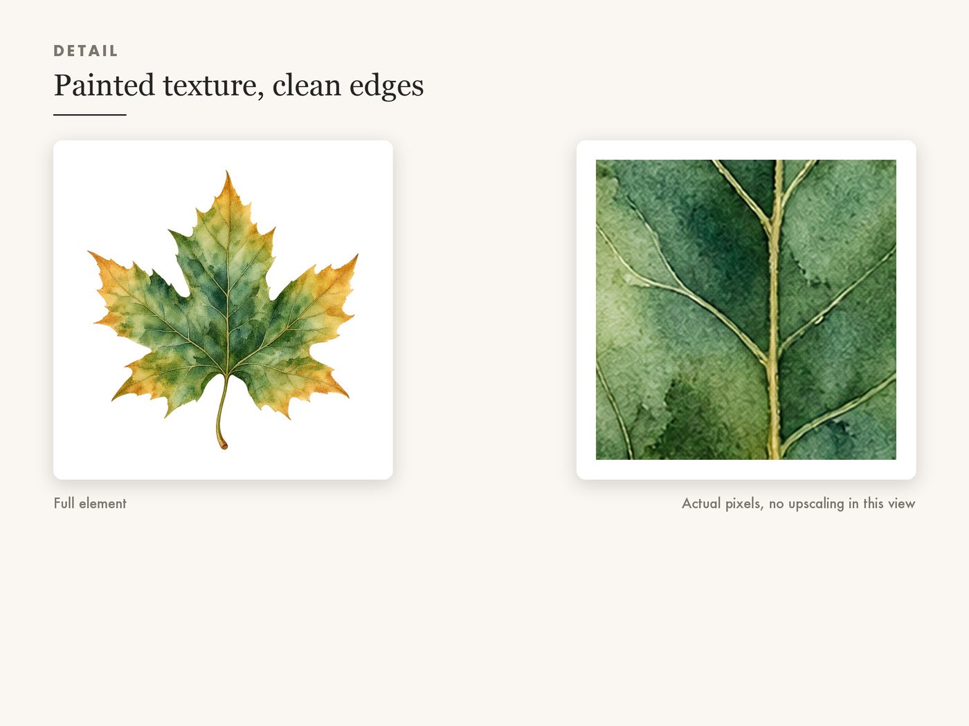 Maple Leaf Clipart PNG, Transparent Autumn Leaf Graphic — detail zoom