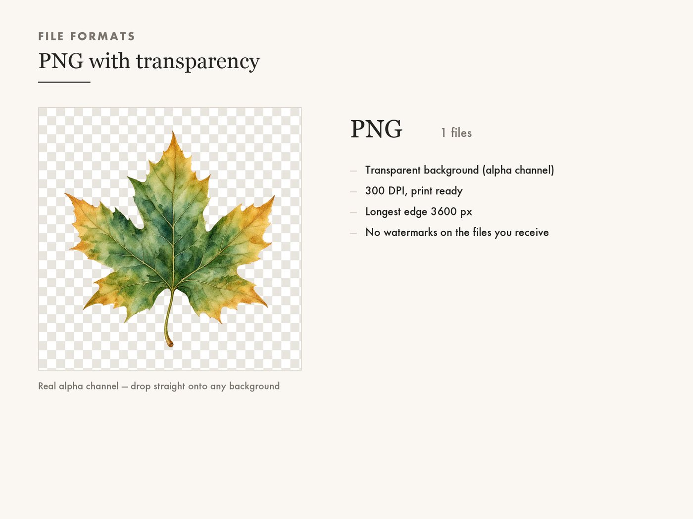 Maple Leaf Clipart PNG, Transparent Autumn Leaf Graphic — file formats
