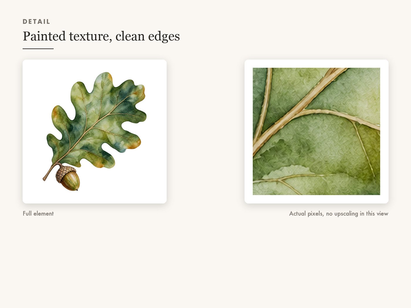 Oak Leaf and Acorn Clipart PNG, Autumn Woodland Graphic — detail zoom