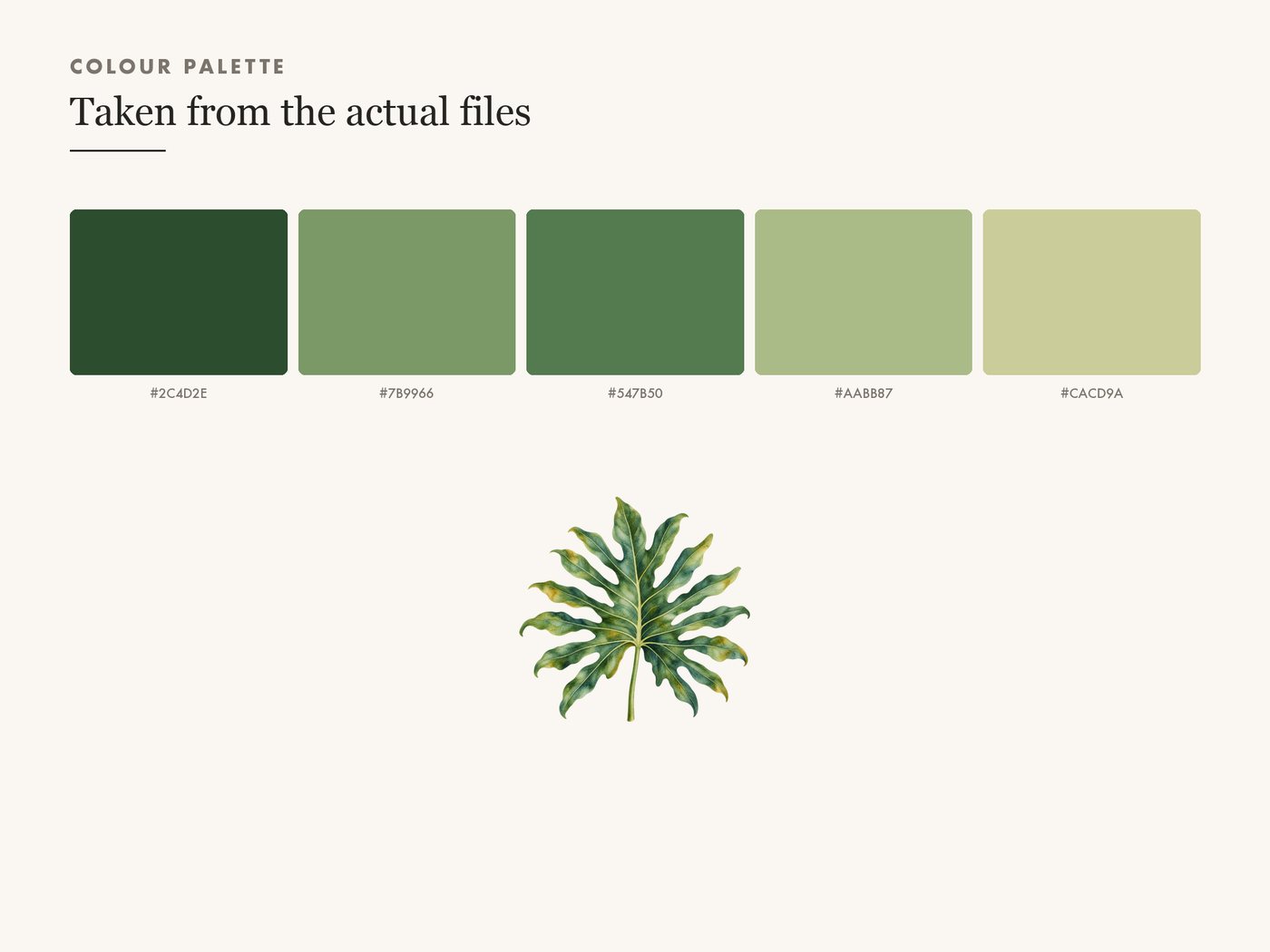 Philodendron Leaf Botanical Clipart PNG — colour palette