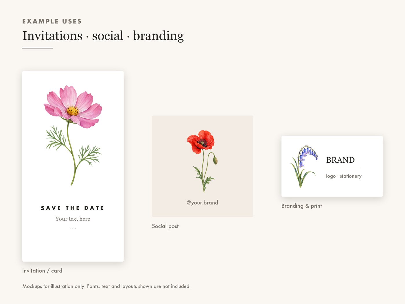 Cosmos Sprig and Poppy Bud Botanical Clipart PNG — use cases
