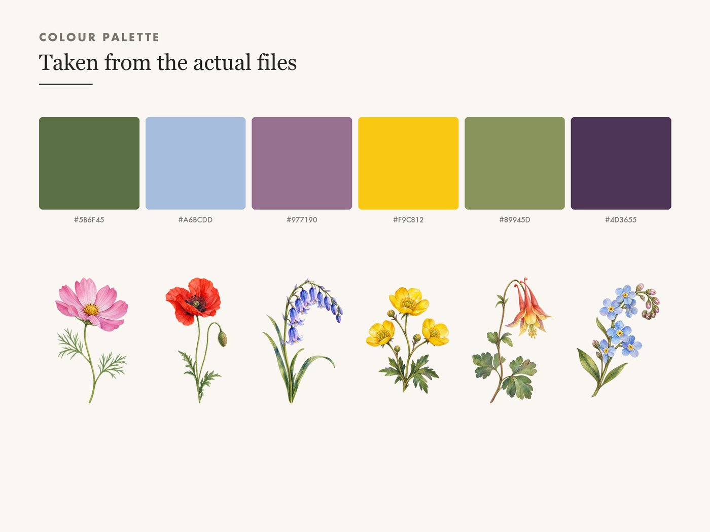 Cosmos Sprig and Poppy Bud Botanical Clipart PNG — colour palette