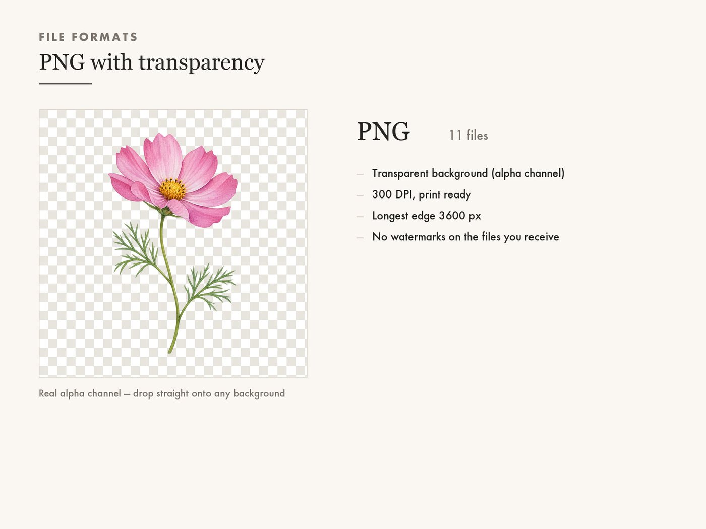 Cosmos Sprig and Poppy Bud Botanical Clipart PNG — file formats