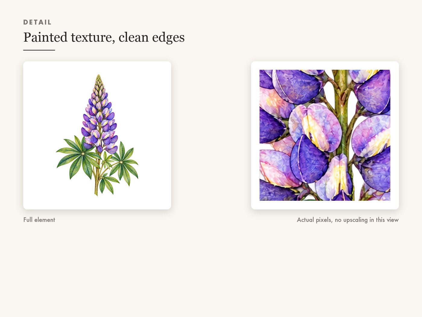 Meadow Posy Wildflower Clipart PNG Transparent Background — detail zoom