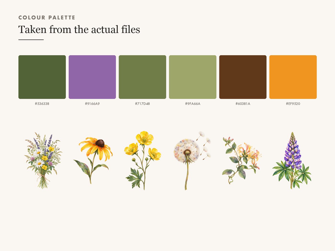 Meadow Posy Wildflower Clipart PNG Transparent Background — colour palette