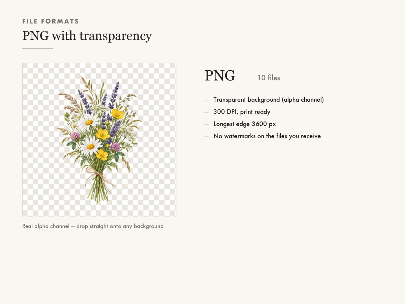 Meadow Posy Wildflower Clipart PNG Transparent Background — file formats