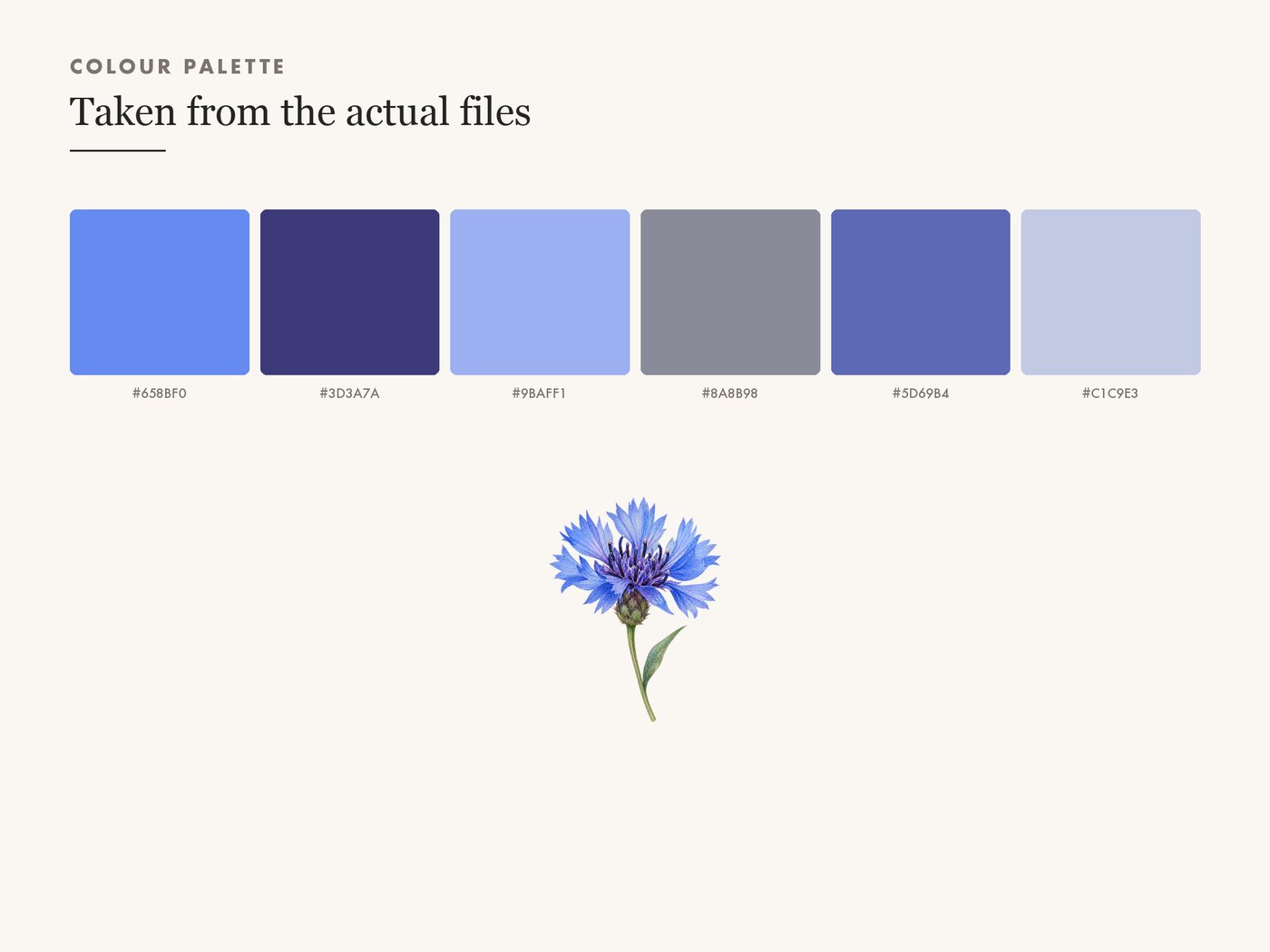 Cornflower Clipart PNG, Blue Wildflower Botanical Art — colour palette
