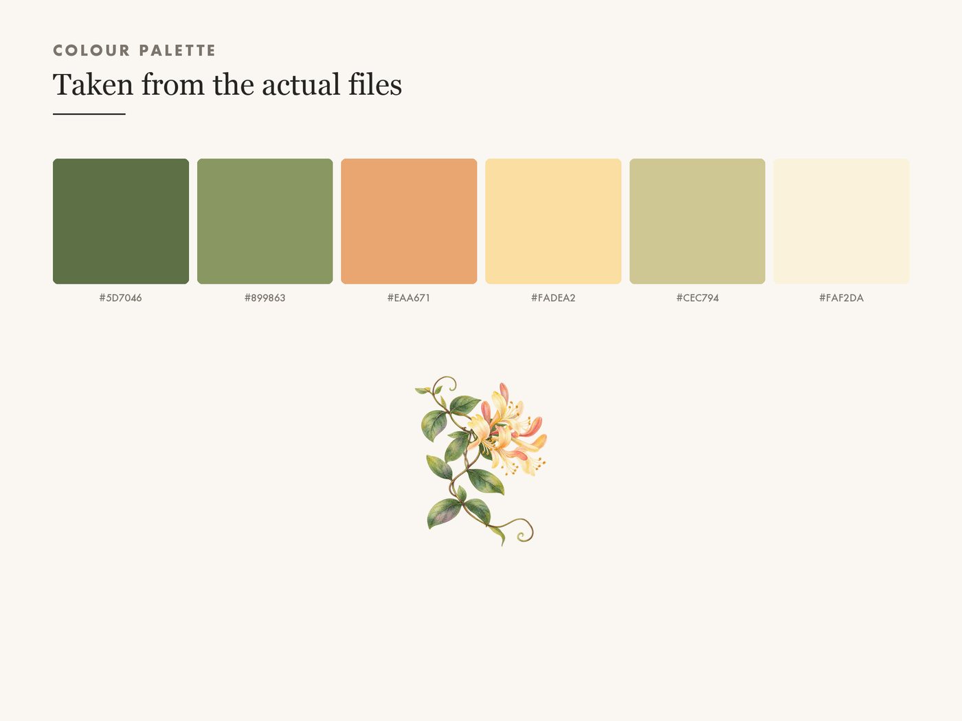 Honeysuckle Vine Clipart PNG Botanical Floral Border — colour palette