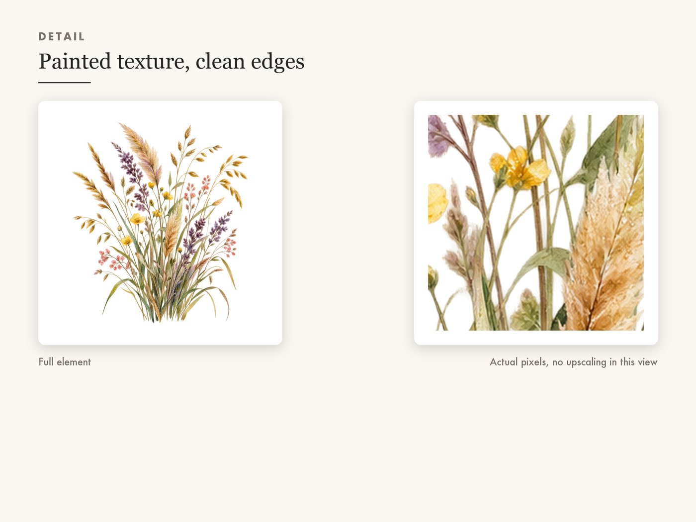 Wheat and Grass Tuft PNG Clipart, Transparent Background — detail zoom