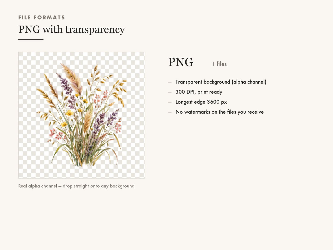 Wheat and Grass Tuft PNG Clipart, Transparent Background — file formats