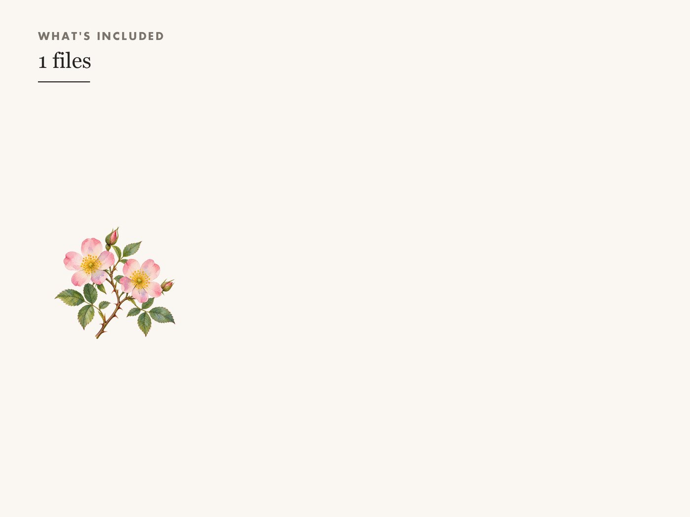 Wild Rose Branch Botanical Clipart PNG Transparent — whats included