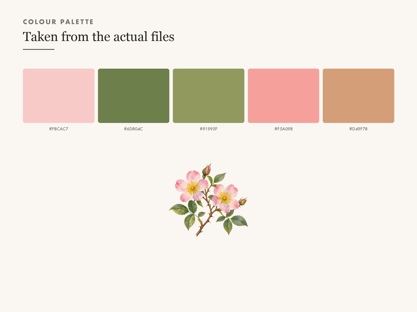 Wild Rose Branch Botanical Clipart PNG Transparent — colour palette