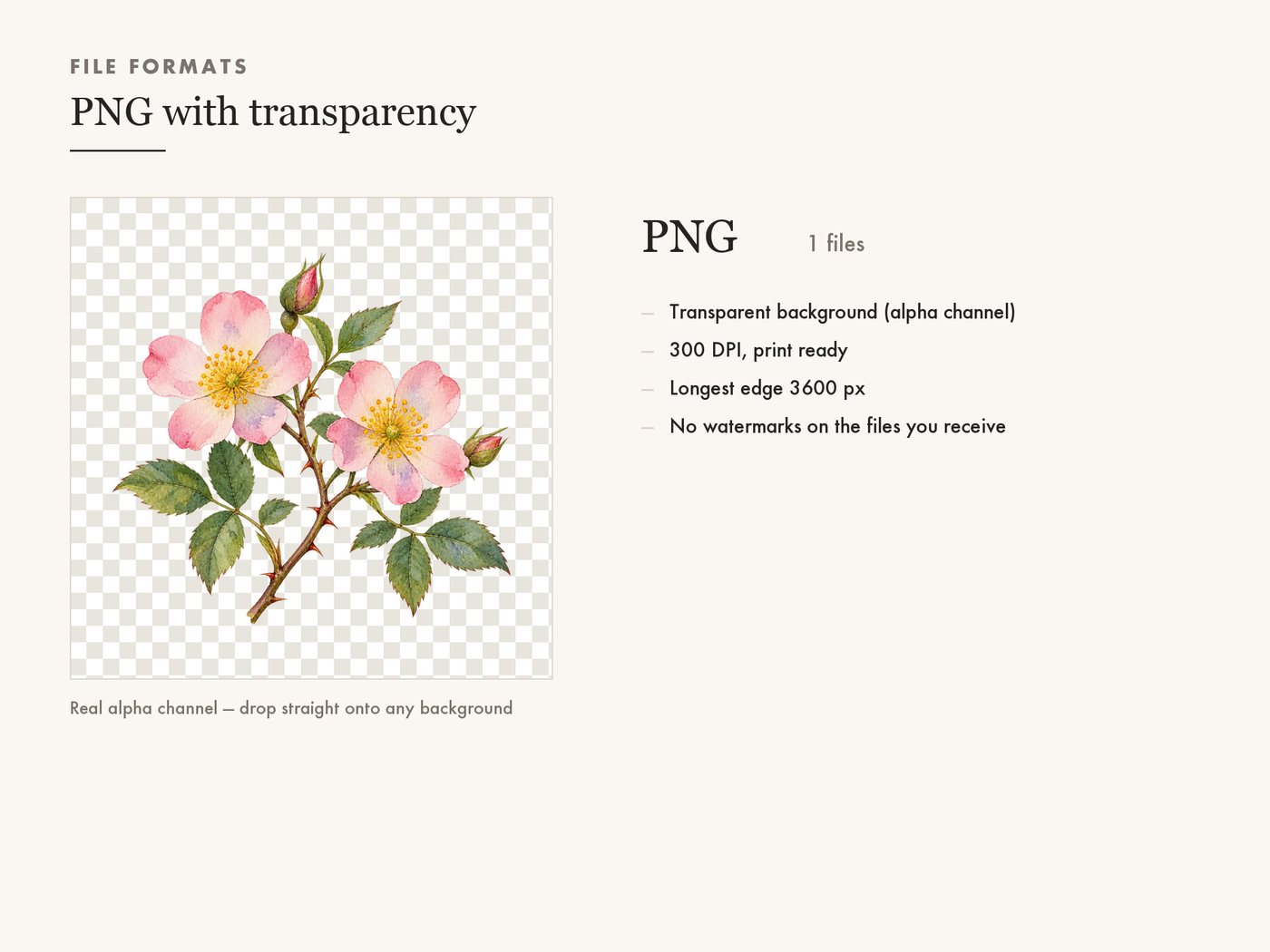 Wild Rose Branch Botanical Clipart PNG Transparent — file formats